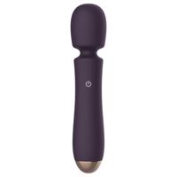 Raytech - akumulátorový, vodotěsný masážní vibrátor (fialový)